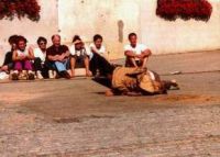 cork 2002
